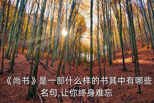 《尚書》是一部什么樣的書其中有哪些名句,讓你終身難忘