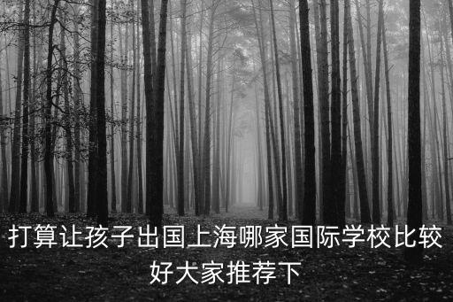 上海三大國際學(xué)校，打算讓孩子出國上海哪家國際學(xué)校比較好大家推薦下