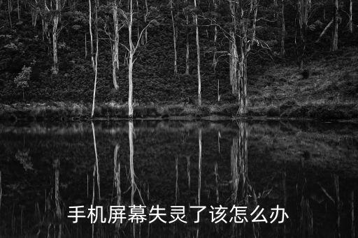 手機屏幕失靈了該怎么辦