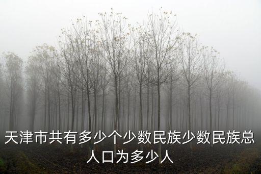 天津市共有多少個少數民族少數民族總人口為多少人