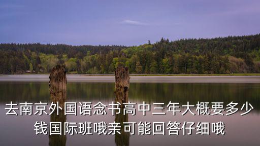 南京高中國際班費用一年大概多少，南京實驗國際中學學費