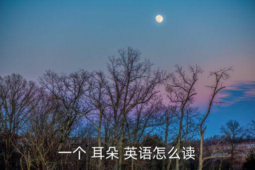 一個 耳朵 英語怎么讀