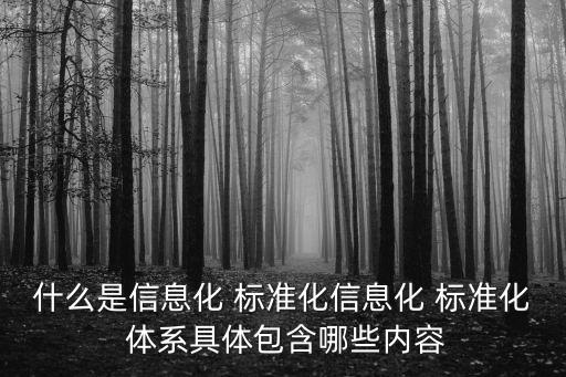 什么是信息化 標準化信息化 標準化 體系具體包含哪些內(nèi)容