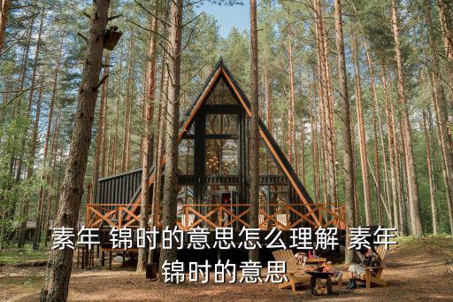 素年 錦時(shí)的意思怎么理解 素年 錦時(shí)的意思