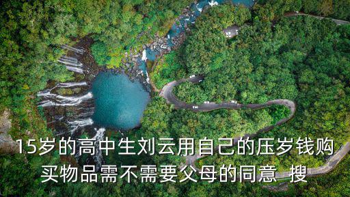 15歲的高中生劉云用自己的壓歲錢購買物品需不需要父母的同意  搜