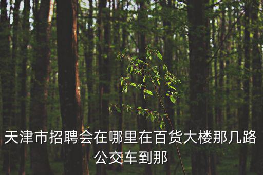 天津市招聘會(huì)在哪里在百貨大樓那幾路公交車(chē)到那