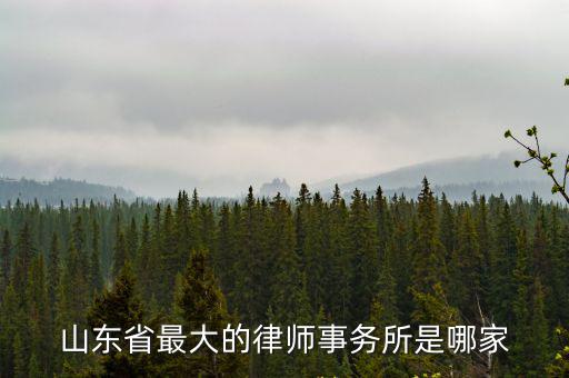 山東省最大的律師事務所是哪家