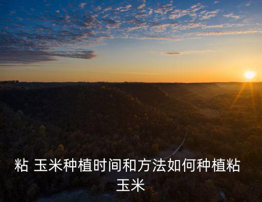 粘 玉米種植時間和方法如何種植粘 玉米