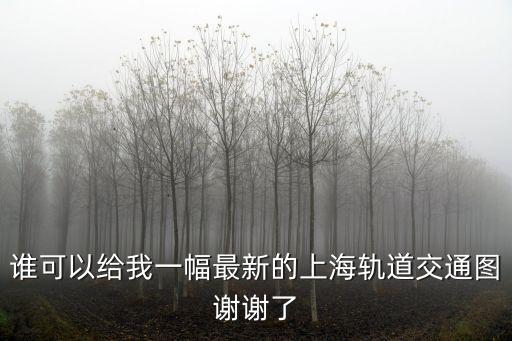 誰可以給我一幅最新的上海軌道交通圖謝謝了