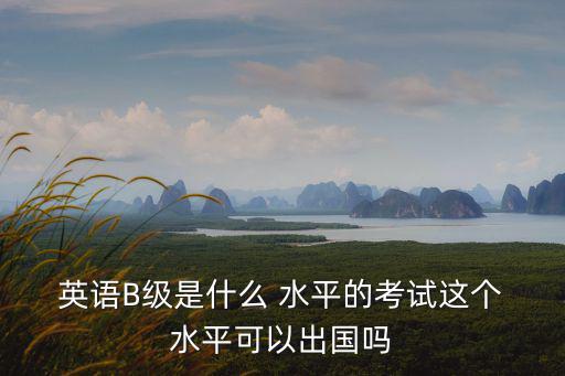  英語B級(jí)是什么 水平的考試這個(gè) 水平可以出國(guó)嗎