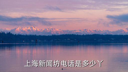 上海新聞坊電話是多少丫