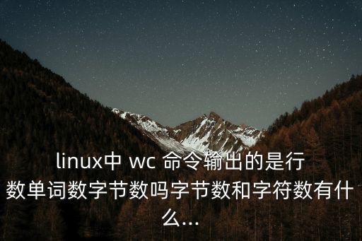wc命令,更多關于linux命令的相關學習!