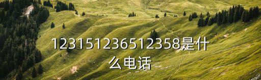 123151236512358是什么電話