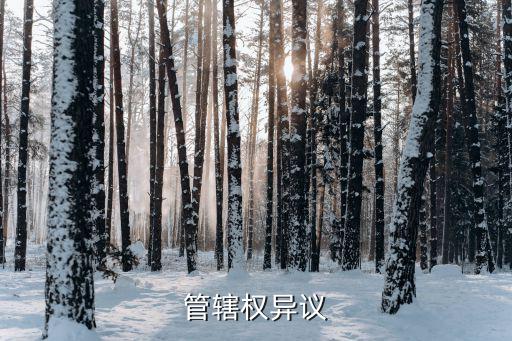管轄權異議，什么是管轄權異議