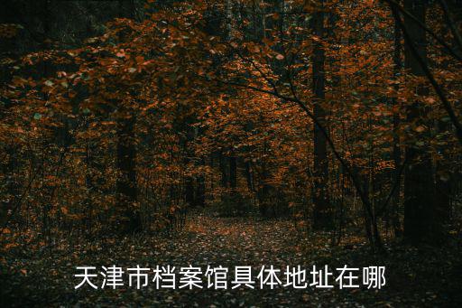 天津市檔案館具體地址在哪