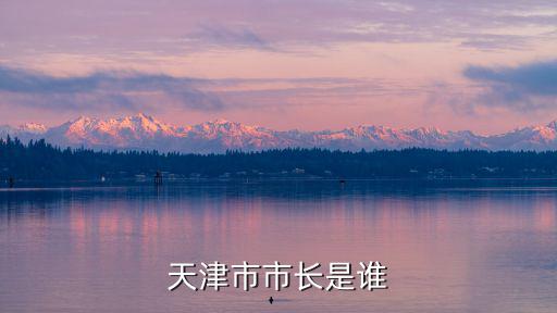 天津市委領(lǐng)導(dǎo)名單及簡歷，天津市市委辦公廳主任是誰