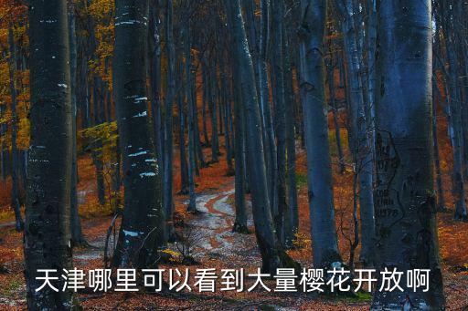 天津哪里可以看到大量櫻花開放啊