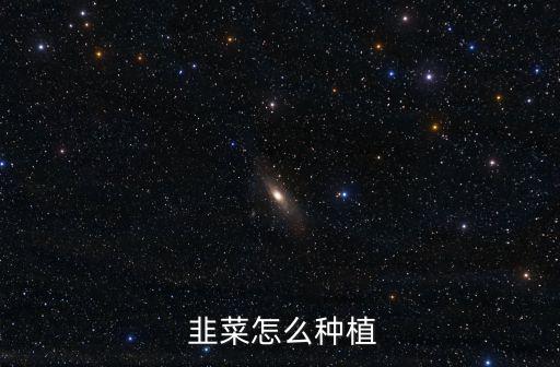 韭菜怎么種,老種子更難發芽移植成活率韭菜幾乎可以達100%