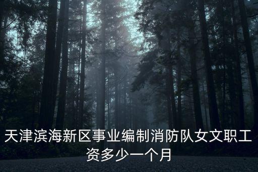 天津濱海新區事業編制消防隊女文職工資多少一個月