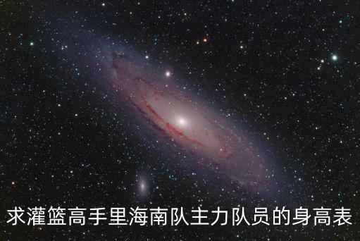 求灌籃高手里海南隊主力隊員的身高表