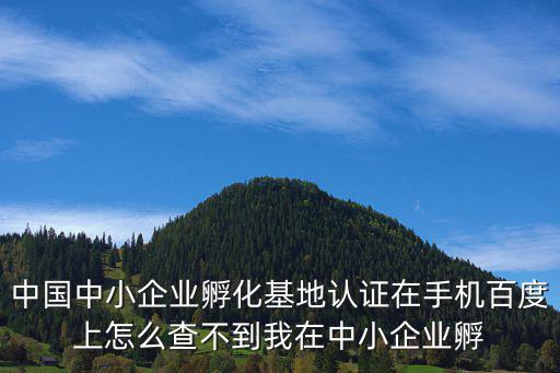 中國中小企業孵化基地認證在手機百度上怎么查不到我在中小企業孵