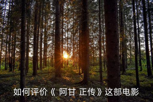 阿甘正傳影評,我和丹船長去捕蝦遇暴風雨船長被塑造成美德化身
