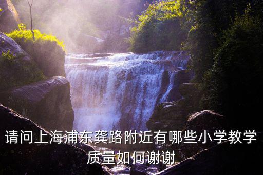 上海浦東新區小學排名，上海浦東上南地區哪幾家小學教學質量好好在哪里