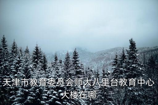 天津市教育委員會師大八里臺教育中心大樓在哪