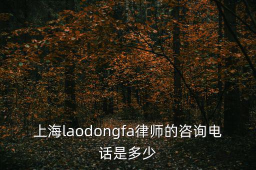 上海laodongfa律師的咨詢電話是多少