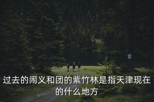 過去的鬧義和團的紫竹林是指天津現在的什么地方