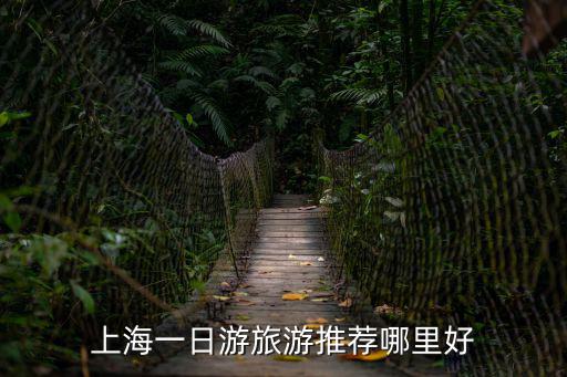 上海一日游旅游推薦哪里好