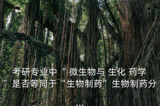 考研專業中“ 微生物與 生化 藥學”是否等同于“生物制藥”生物制藥分...
