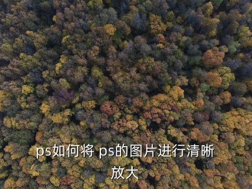  ps如何將 ps的圖片進行清晰 放大