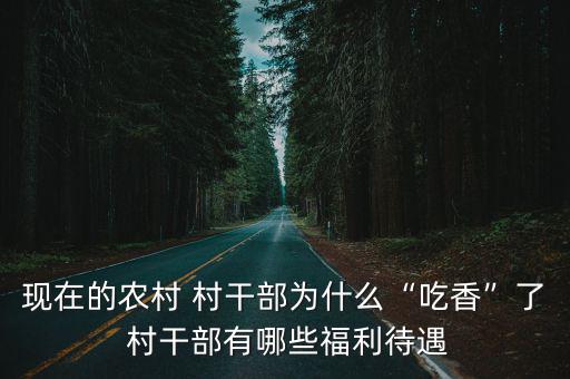 現在的農村 村干部為什么“吃香”了 村干部有哪些福利待遇