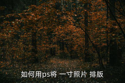 一寸照片排版,一寸照片也能搞大小!