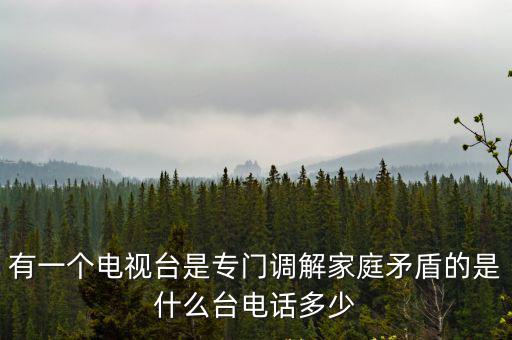家庭調解師 上門調解，金牌調解有能上門為家庭調解矛盾的調解員嗎謝謝急求  搜