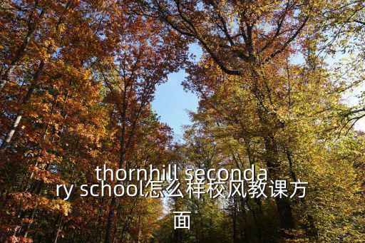 上海楓葉國際學校好嗎，武漢楓葉國際學校教師工資待遇如何