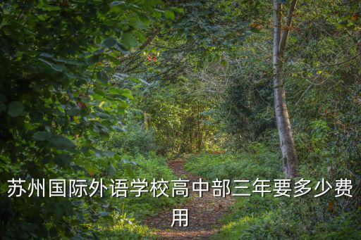 蘇科外國際高中費用，到國外讀高中的費用