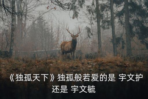 宇文毓,《孤獨的世界》女主角宇文胡臨終前遺憾地點公布