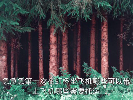 急急急第一次在虹橋坐飛機哪些可以帶上飛機哪些需要托運