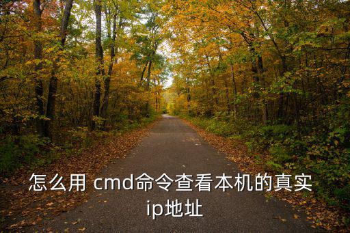 怎么用 cmd命令查看本機的真實 ip地址