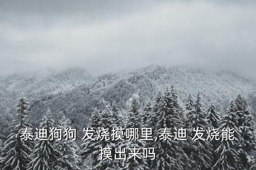 泰迪狗狗 發燒摸哪里,泰迪 發燒能摸出來嗎
