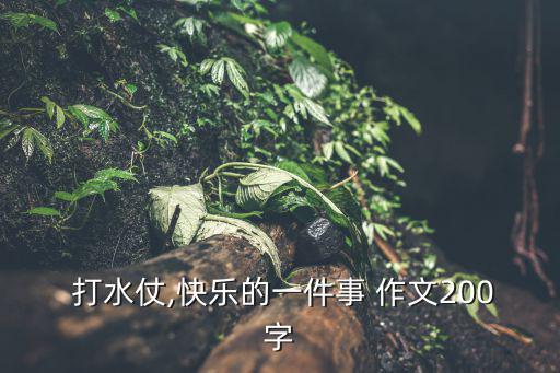 打水仗作文,我和爸爸玩水槍打水仗忘不了和表哥的那個暑假