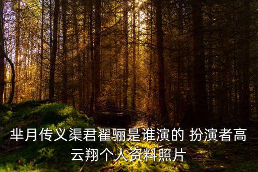 羋月傳義渠君翟驪是誰演的 扮演者高云翔個人資料照片
