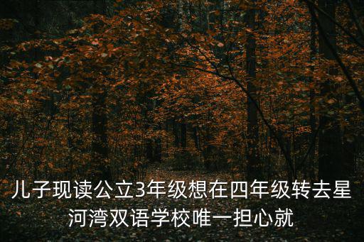 星河灣雙語學校，上海星河灣雙語學校和七寶德懷特哪個好