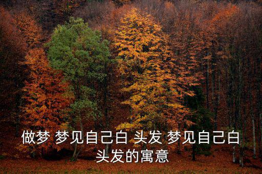 做夢 夢見自己白 頭發(fā) 夢見自己白 頭發(fā)的寓意