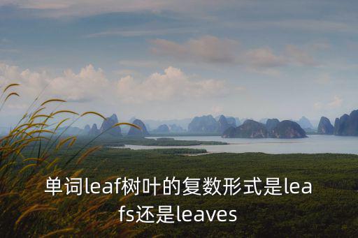 單詞leaf樹(shù)葉的復(fù)數(shù)形式是leafs還是leaves