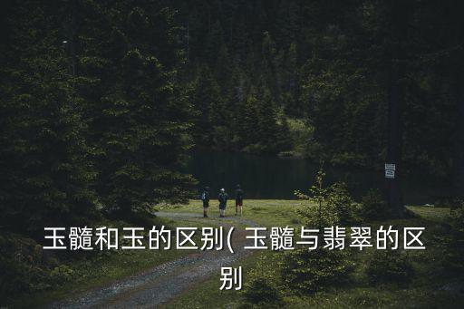 玉髓和玉石的區(qū)別,玉髓和寶石的區(qū)別