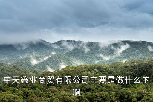 中天鑫業(yè)商貿(mào)有限公司主要是做什么的啊