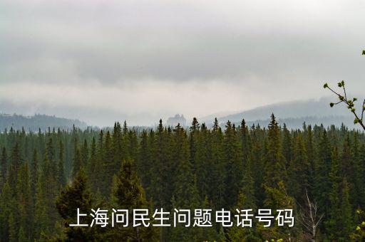 上海問(wèn)民生問(wèn)題電話號(hào)碼